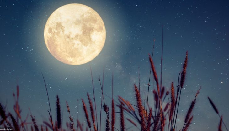 Jardiner avec la lune, un mythe ?