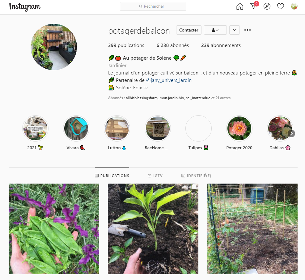 8 comptes Instagram à suivre pour les amateurs de plantes, Shake My Blog