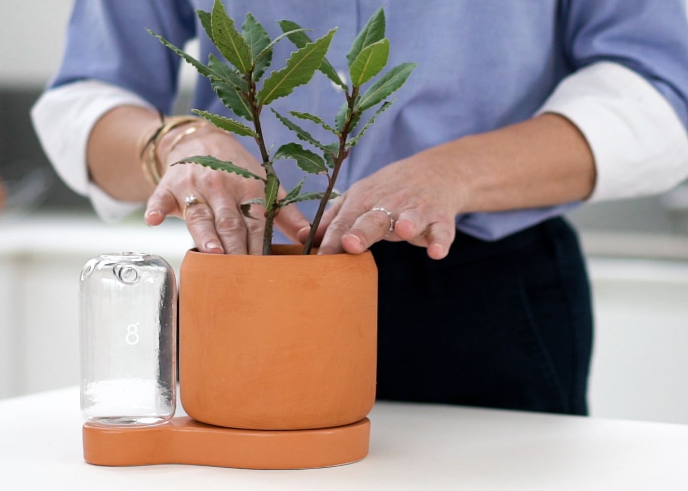 Greenfinity - Kit de bouturage - Toutes vos plantes à l'infini