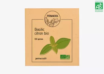 Basilic citron bio