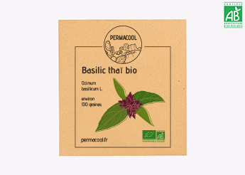 Basilic thaï