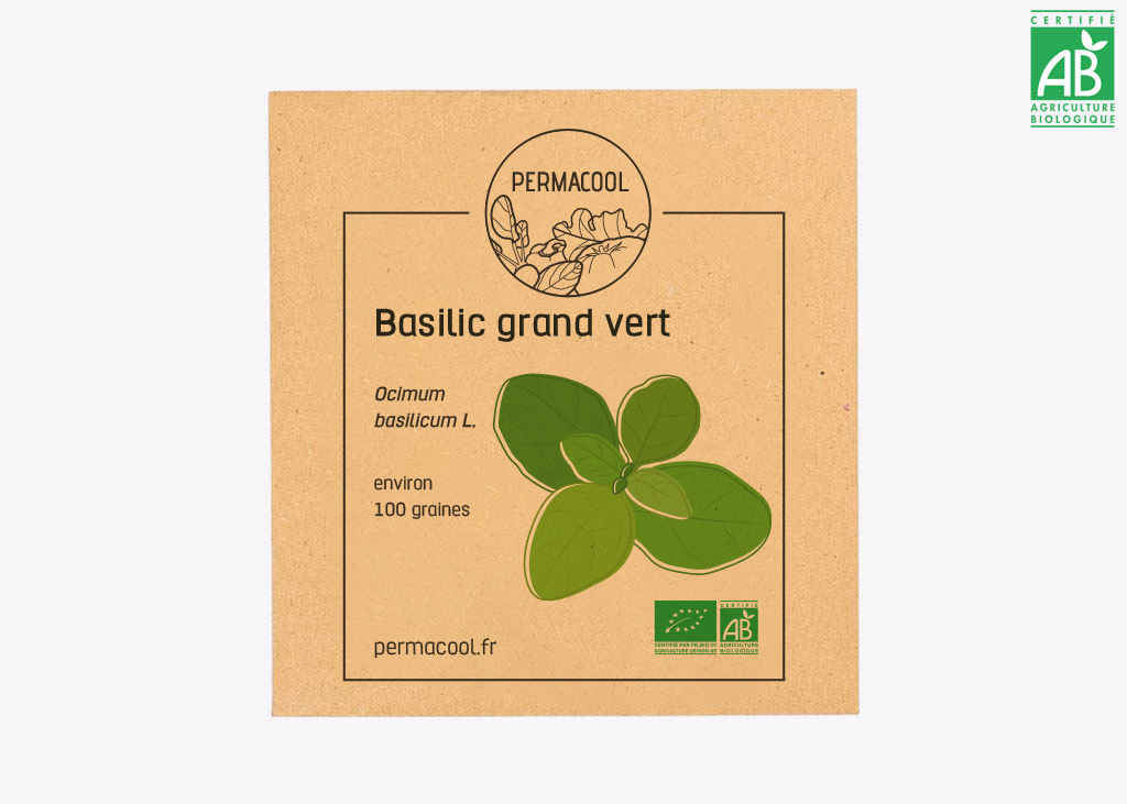 Semences bio et reproductibles de Basilic Grand vert