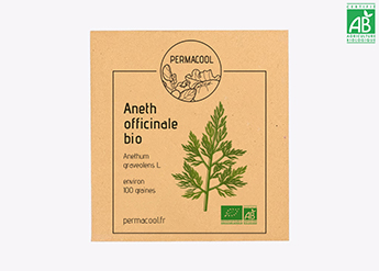Aneth Officinale