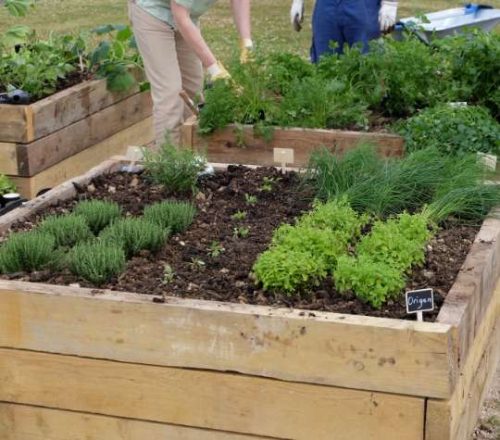 La co-création de potager