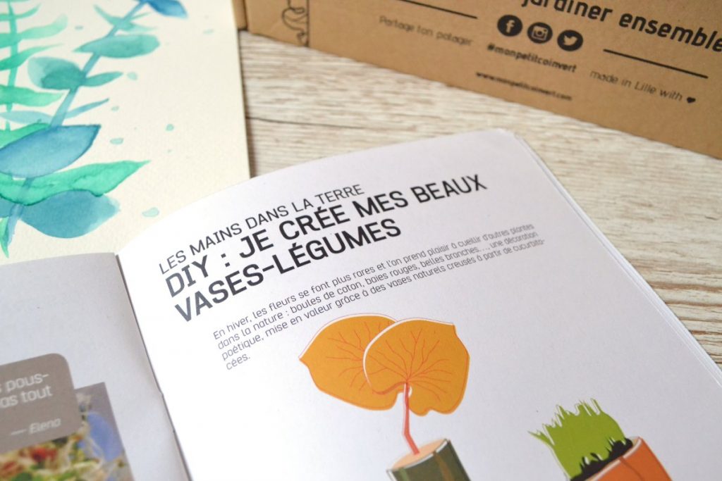 Je créé mes beaux vases-légumes