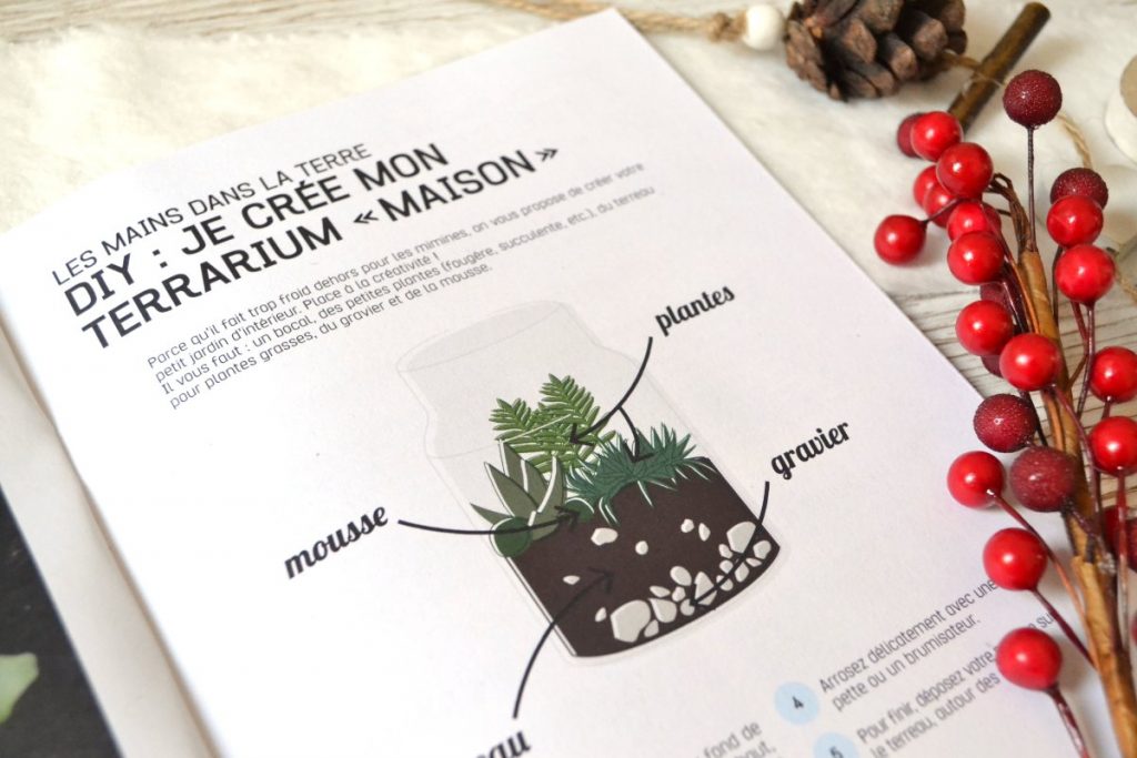 Créer un terrarium maison