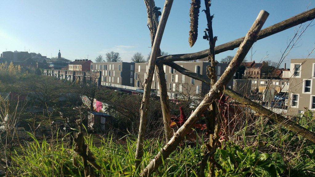 La future ferme vue de haut