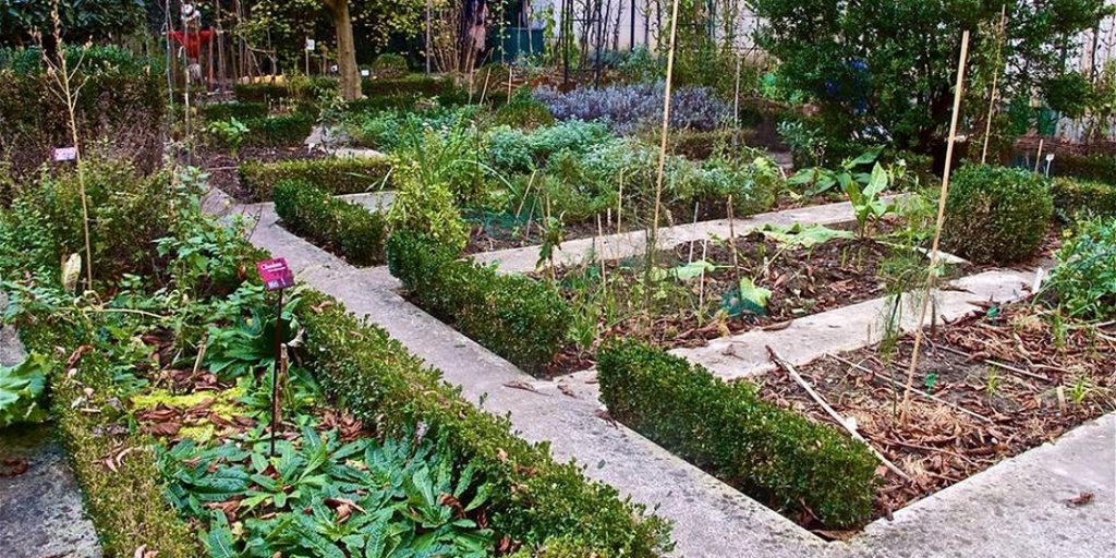 Jardin partagé du Clos des Blancs Manteaux