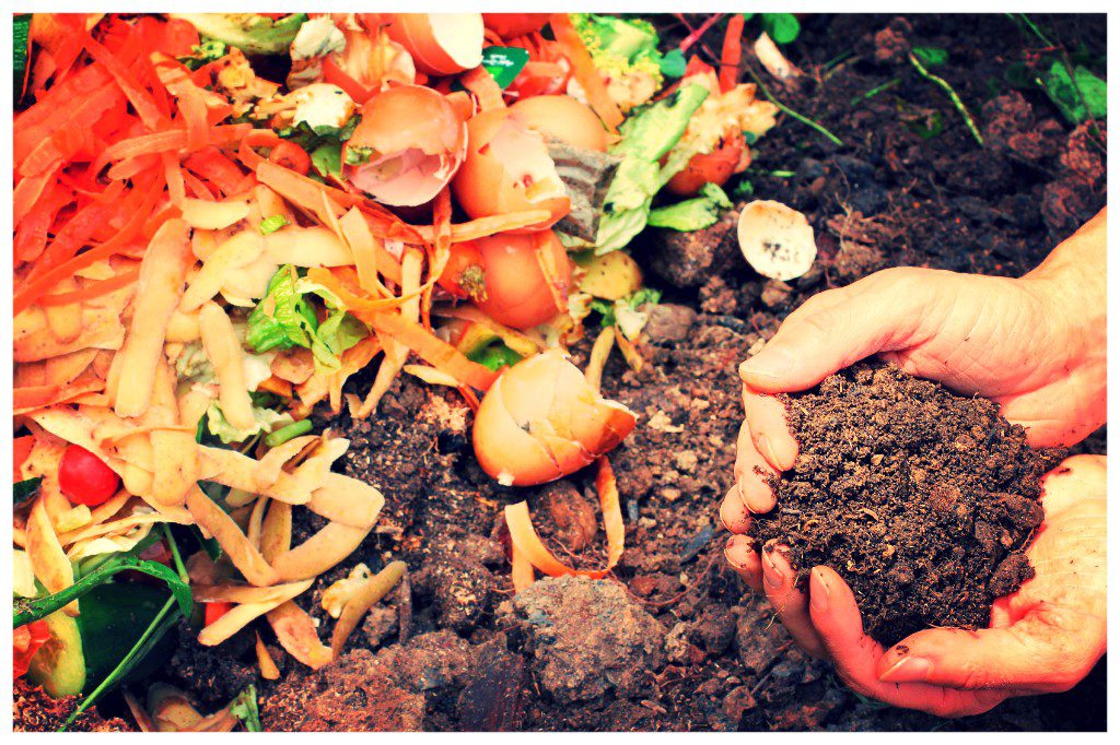 compost