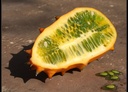 Kiwano DL