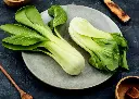 Chou Pak Choi Taisai