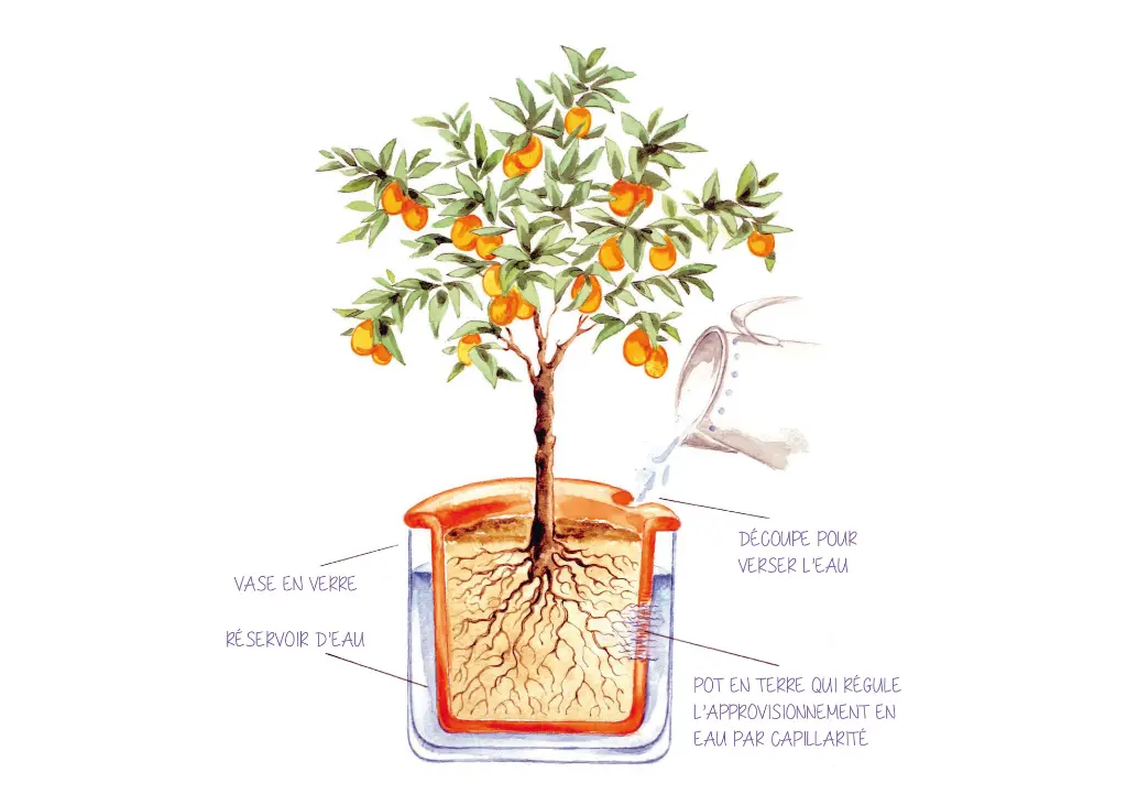 Pot pour plantes en céramique