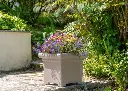 pot-de-fleurs-carre-papi-small-modele-carl-gris-taupe.webp