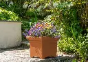 pot-de-fleurs-carre-papi-small-modele-carl-terre-cuite.webp