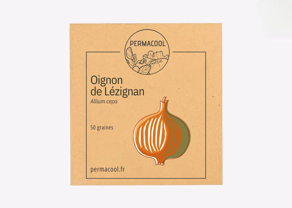 Oignon jaune de Lezignan NT