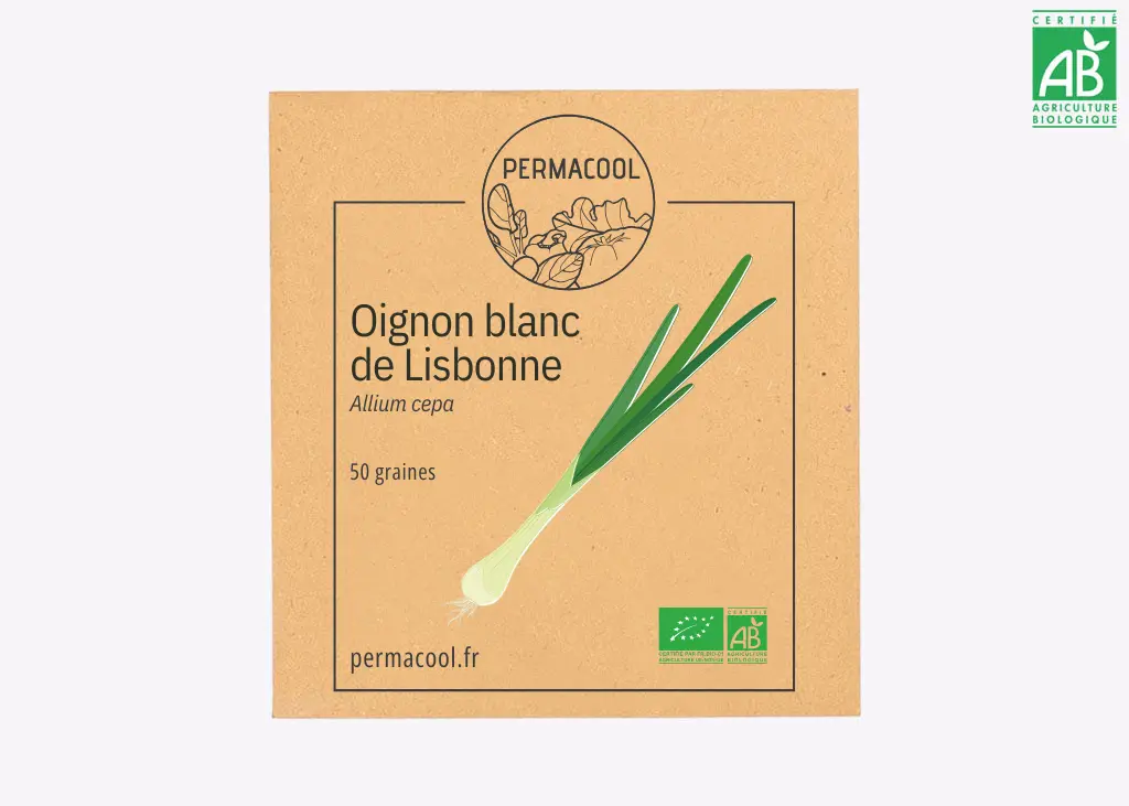 Oignon blanc de Lisbonne AB