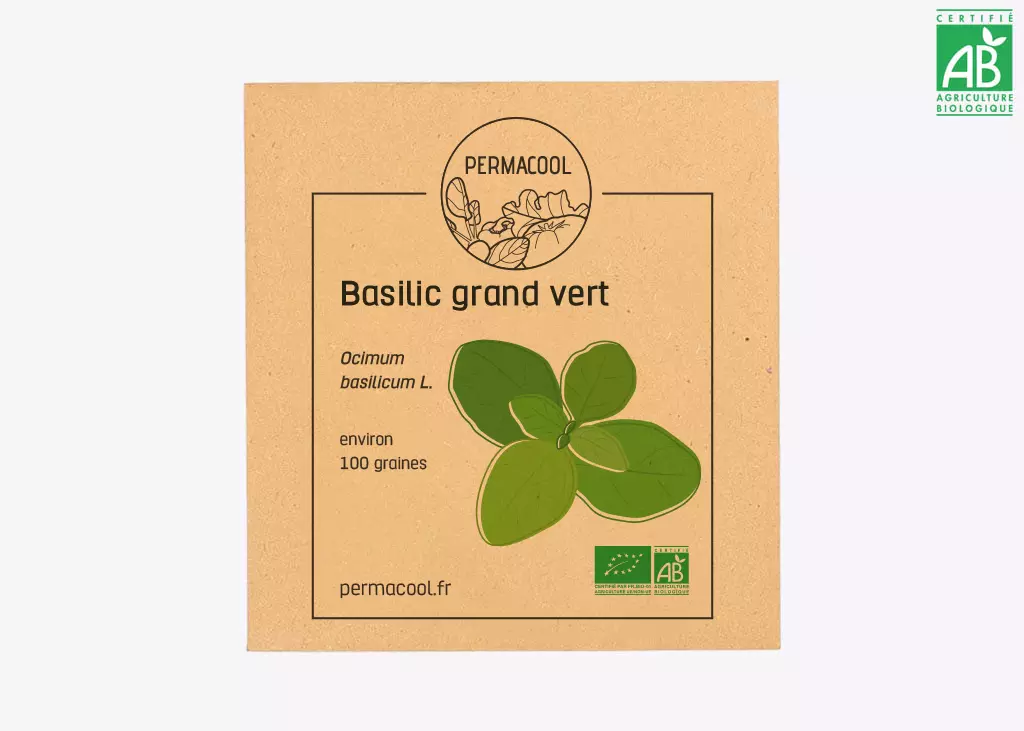 Basilic Grand Vert bio DL