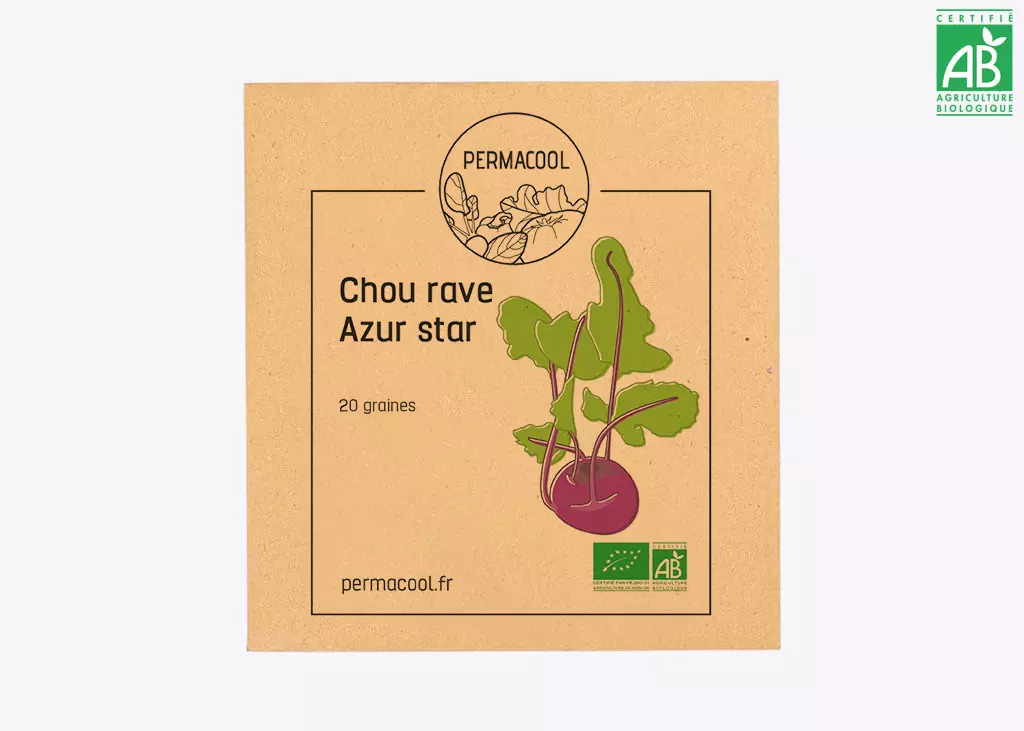 Chou-rave azur-star DL