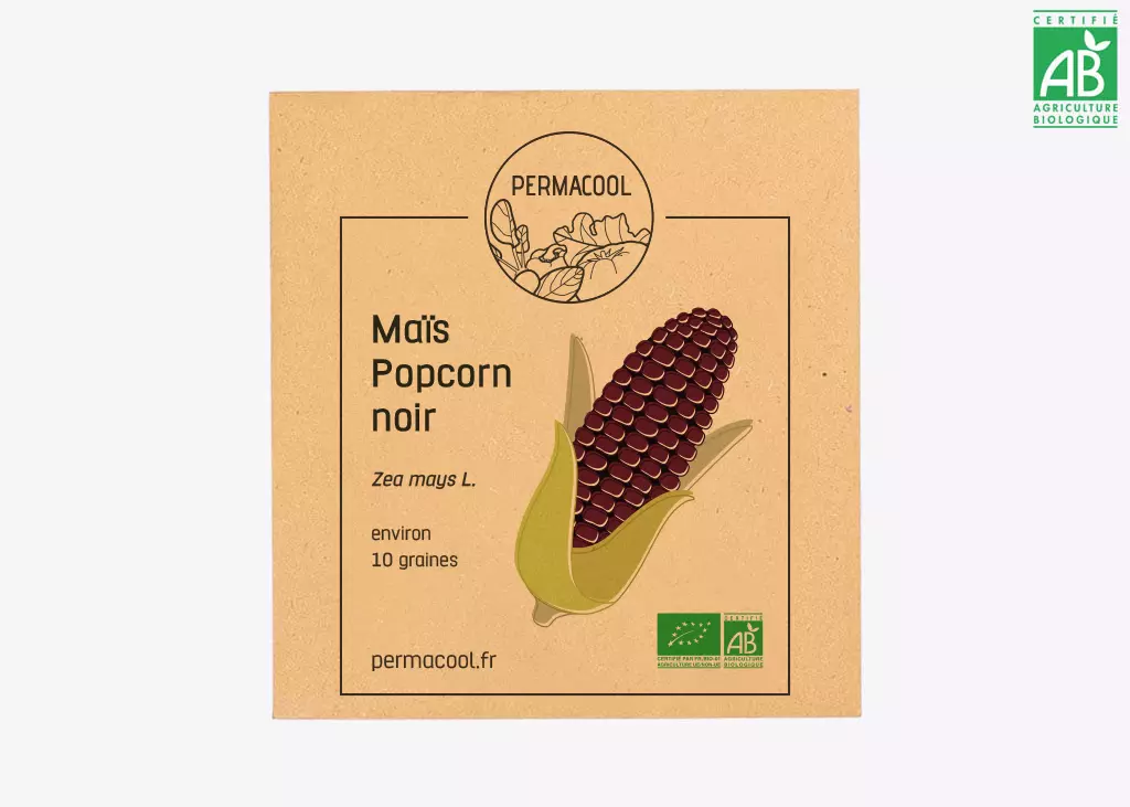 Mais popcorn noir bio DL