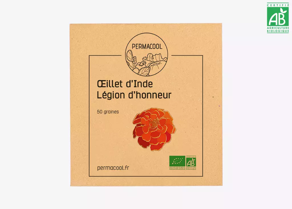 Oeillet d'inde légion d'honneur AB DL