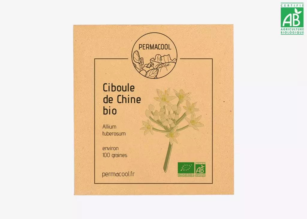 Ciboule de Chine bio DL