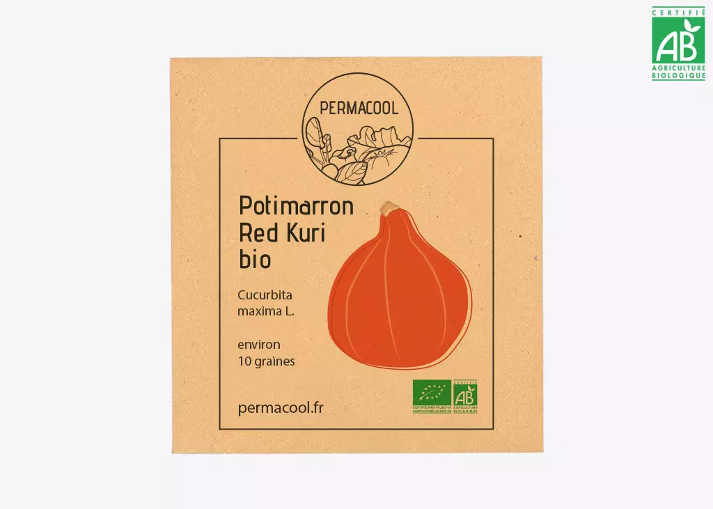 Potimarron red kuri DL