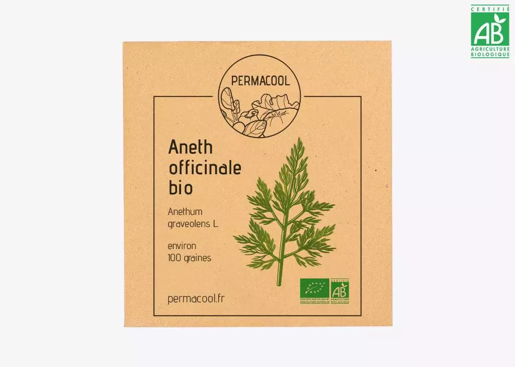 Aneth Officinale DL