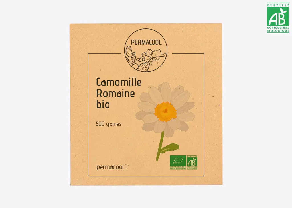 Camomille romaine  DL