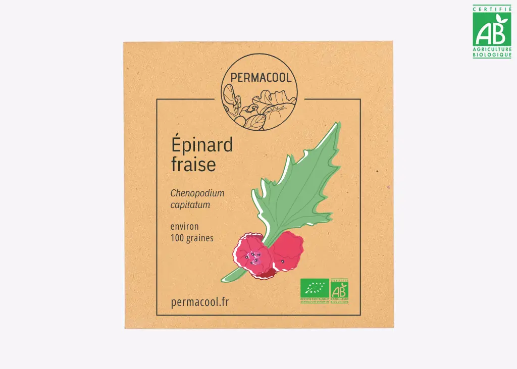 Épinard fraise DL