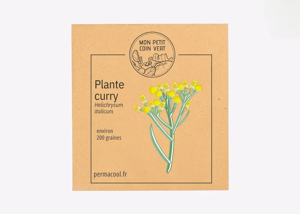 Plante curry DL