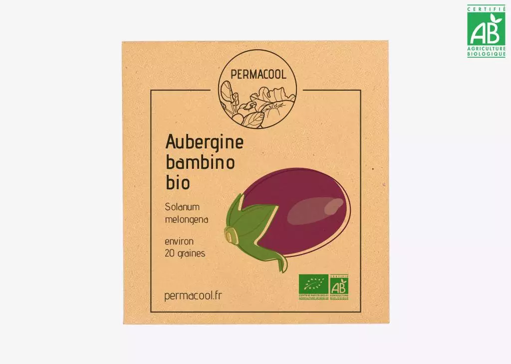 Aubergine bambino DL