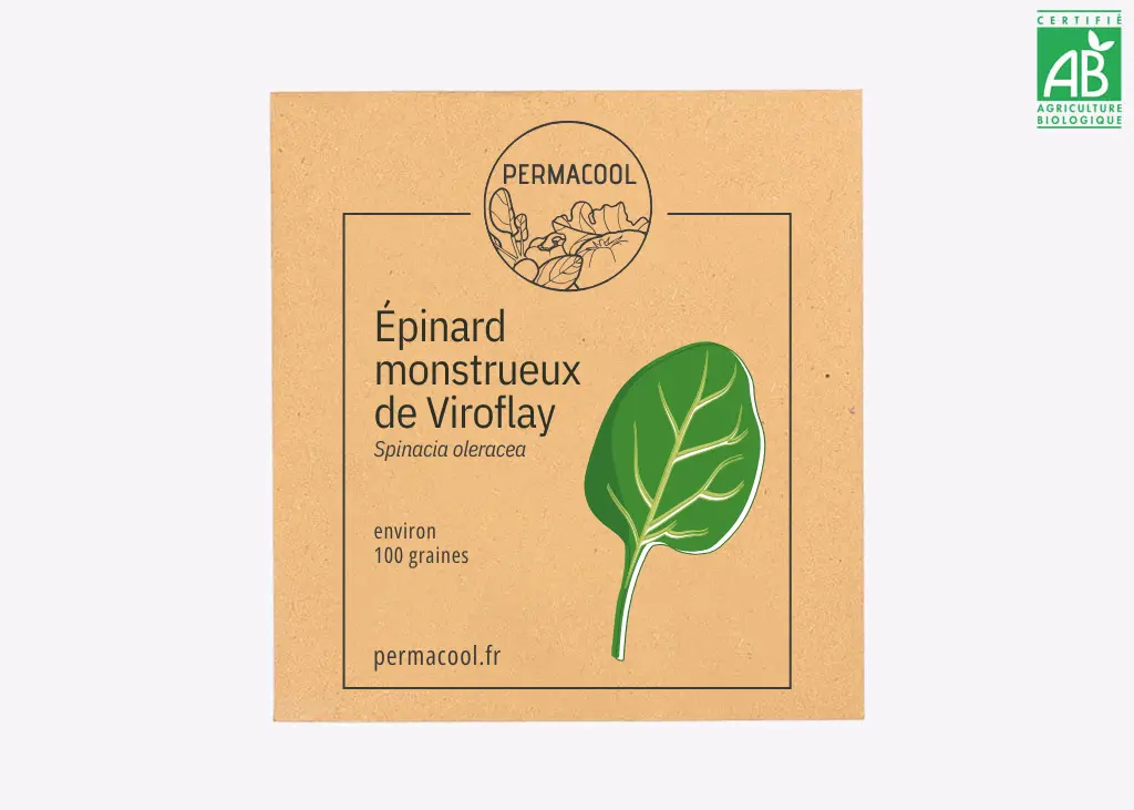 Épinard monstrueux de Viroflay DL