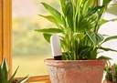 Capteur bluetooth pour plantes