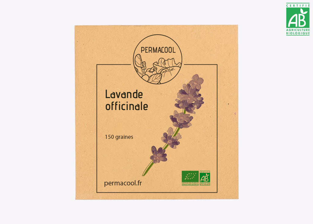 Lavande officinale bio