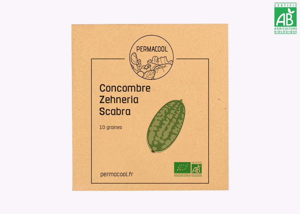 Mini concombre zehneria AB