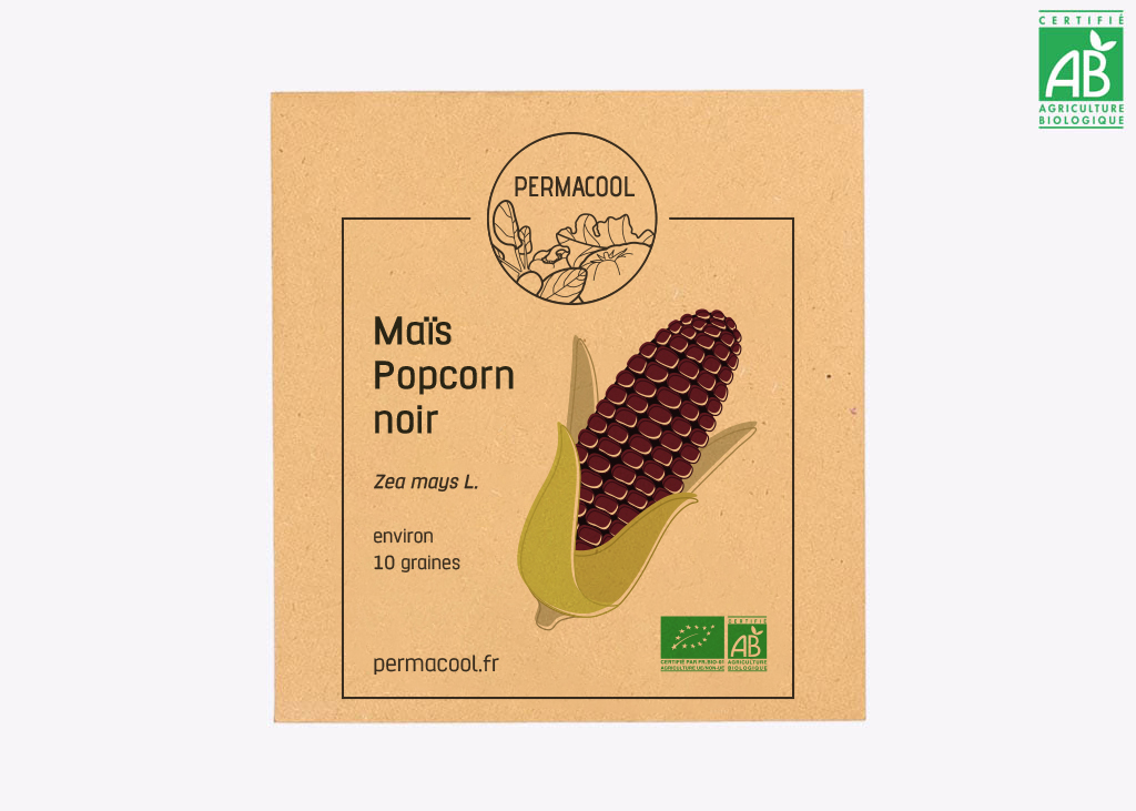 Mais popcorn noir bio