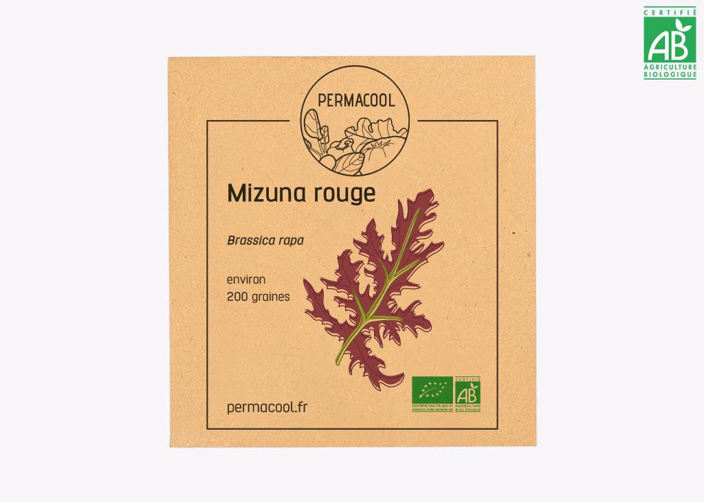 Mizuna rouge bio