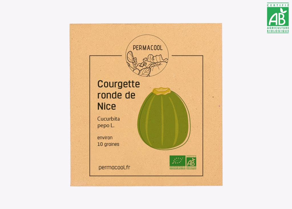 Courgette ronde de Nice