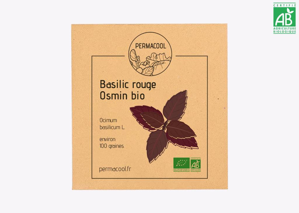 Basilic rouge Osmin