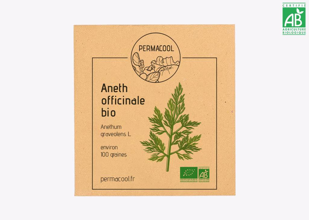 Aneth Officinale