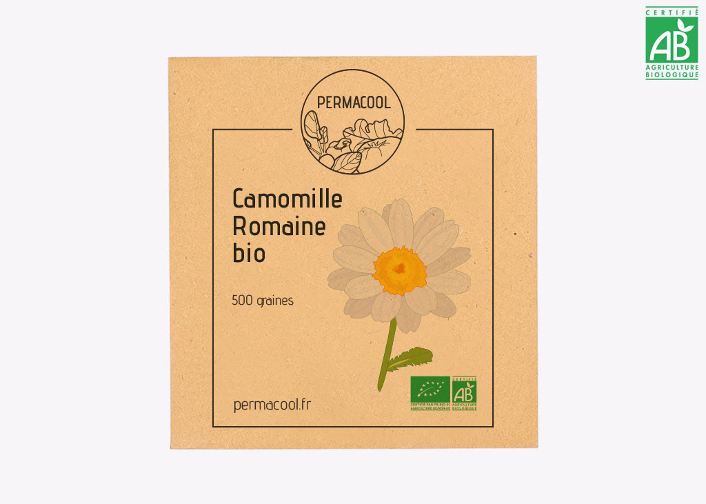 Camomille romaine