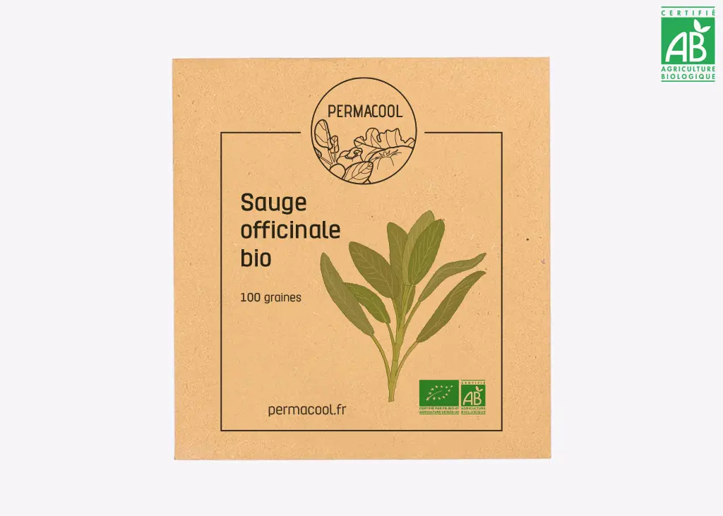 Sauge officinale