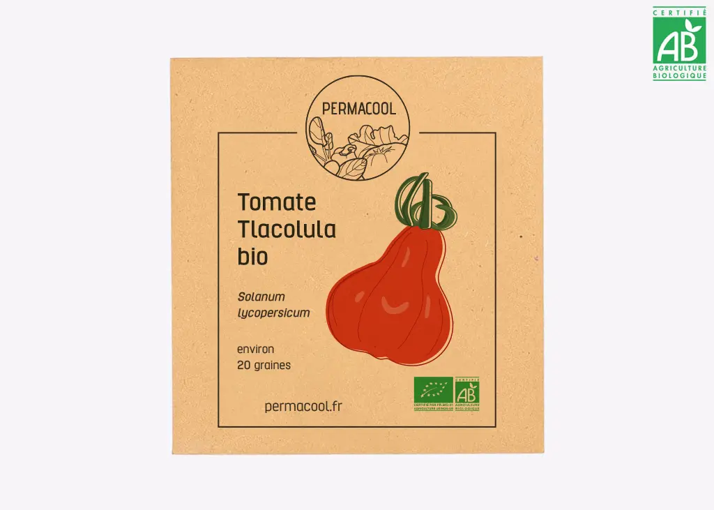 Tomate Tlacolula