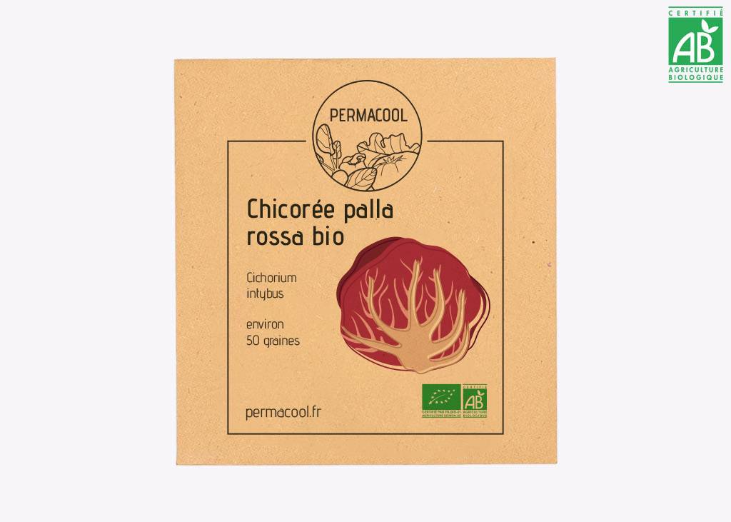 Chicorée Palla Rossa