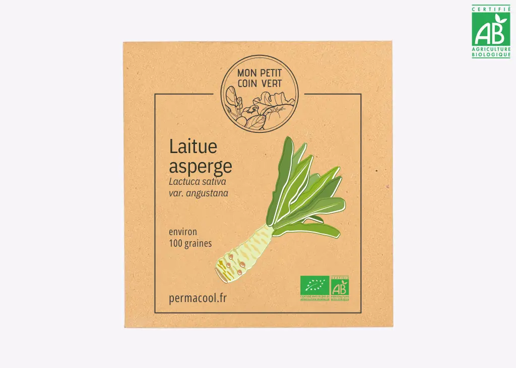 Laitue asperge celtuce