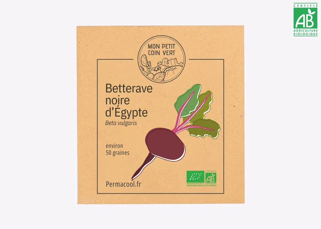 Betterave noire d’Égypte