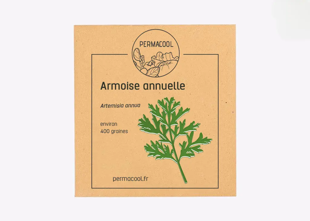 Armoise annuelle