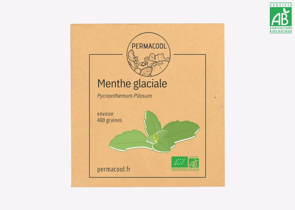 Menthe glaciale AB