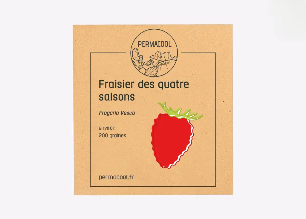 Fraisier des 4 saisons