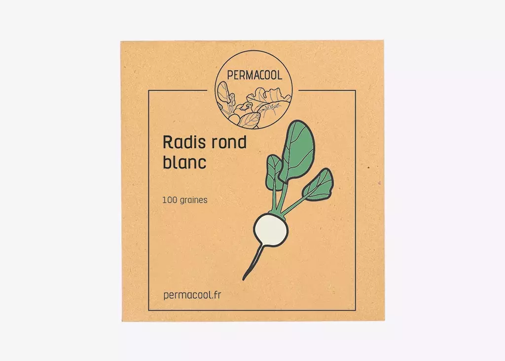 Radis Rond Blanc - DL